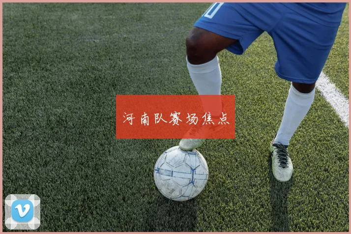 河南队赛场焦点