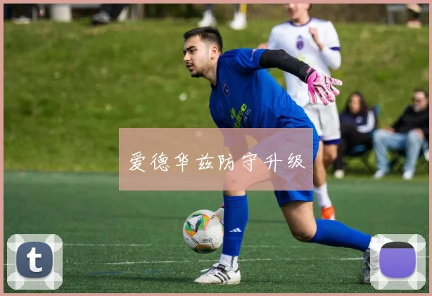 爱德华兹防守升级