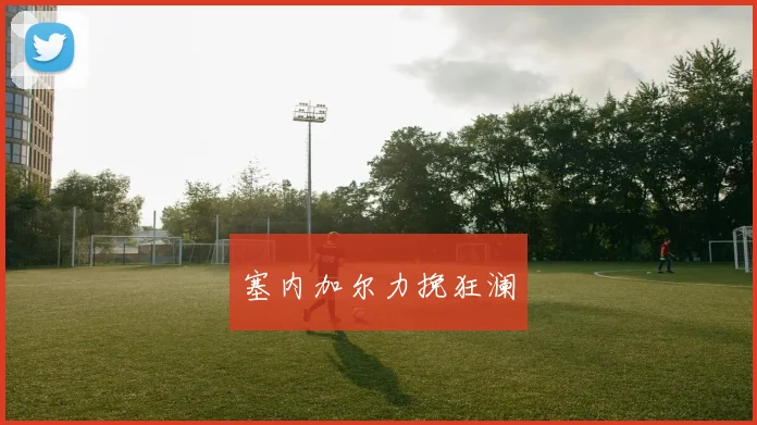 塞内加尔力挽狂澜