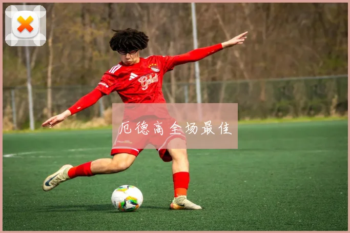 厄德高全场最佳