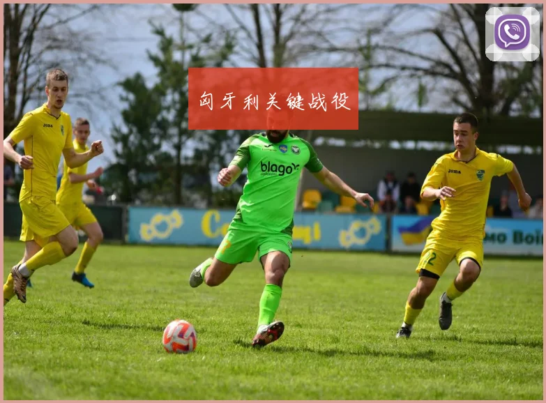 匈牙利关键战役