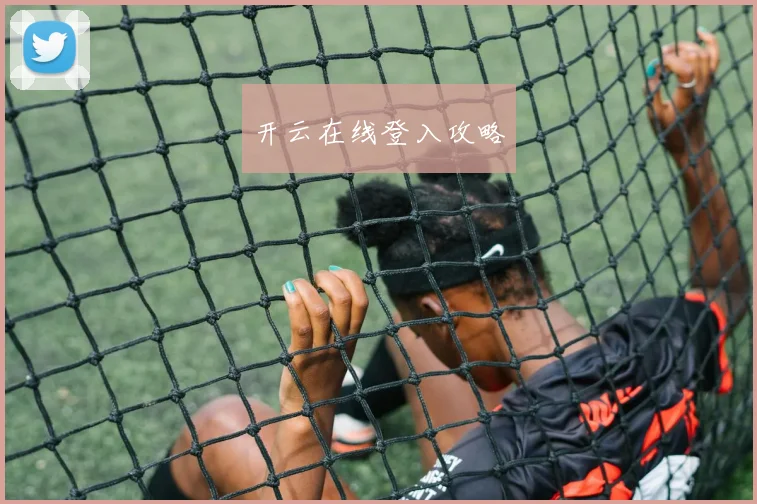 开云在线登入攻略