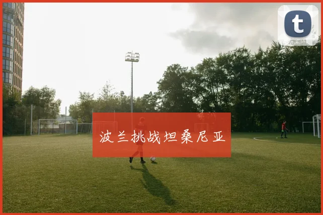 波兰挑战坦桑尼亚