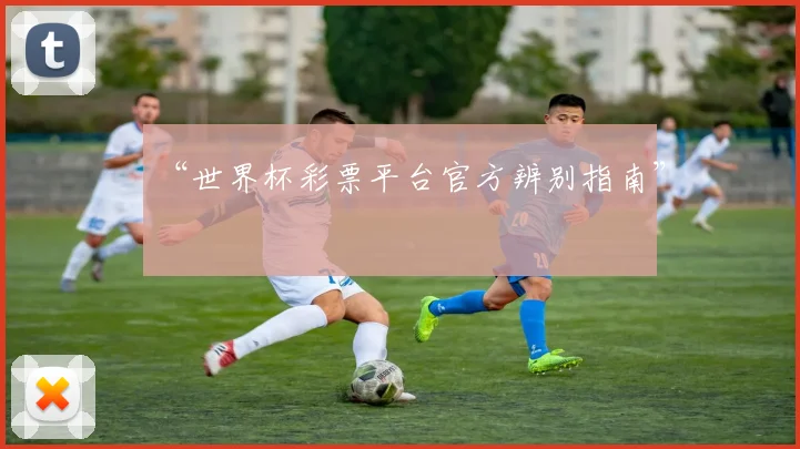 “世界杯彩票平台官方辨别指南”