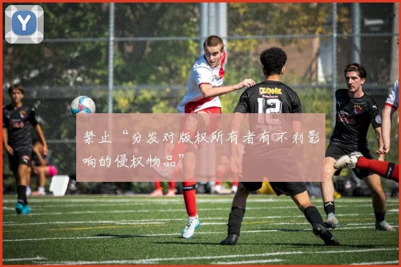 禁止“分发对版权所有者有不利影响的侵权物品”
