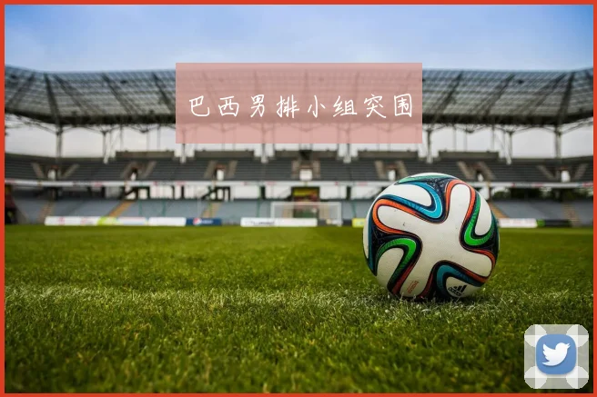 巴西男排小组突围