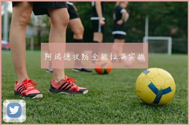 阿诺德攻防全能拉满实战
