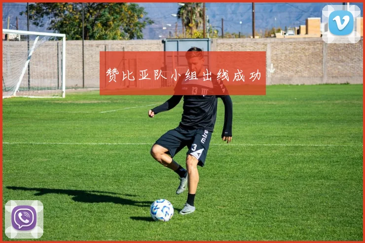 赞比亚队小组出线成功