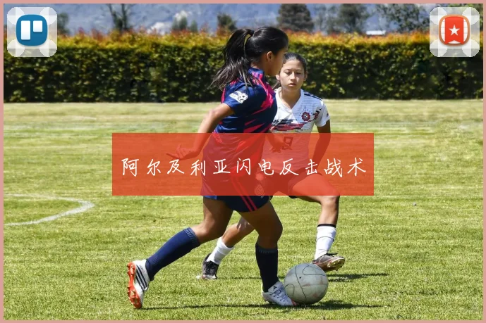 阿尔及利亚闪电反击战术