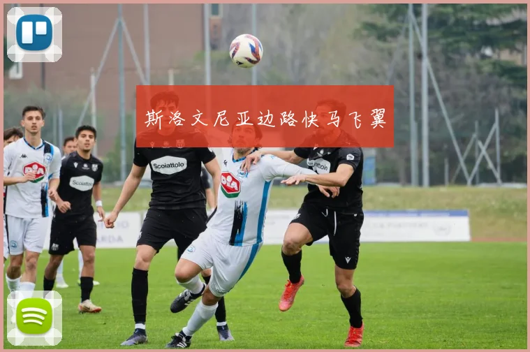 斯洛文尼亚边路快马飞翼
