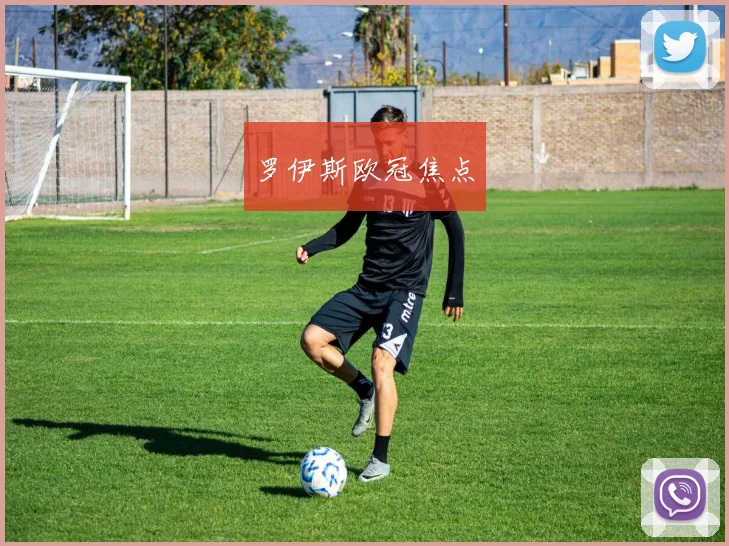 罗伊斯欧冠焦点