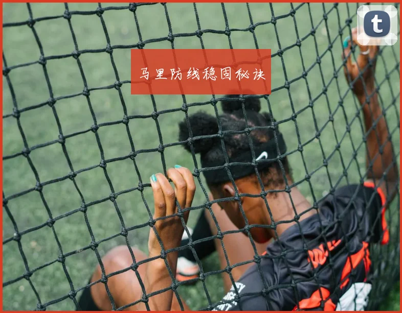 马里防线稳固秘诀