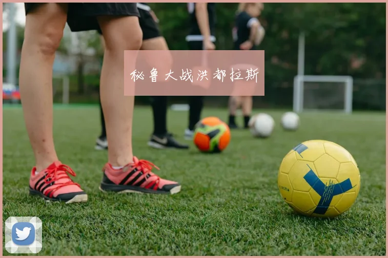 秘鲁大战洪都拉斯