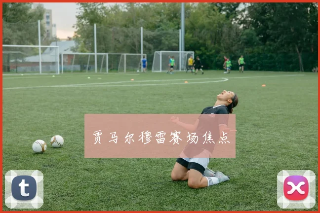 贾马尔穆雷赛场焦点
