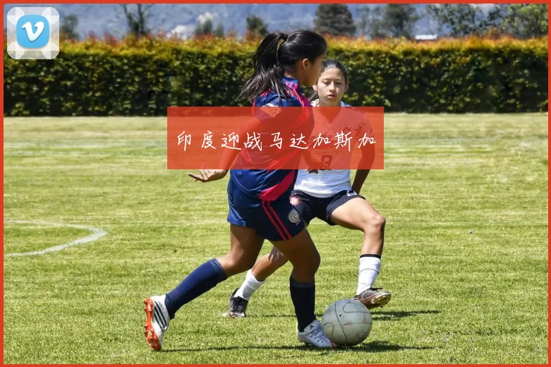 印度迎战马达加斯加