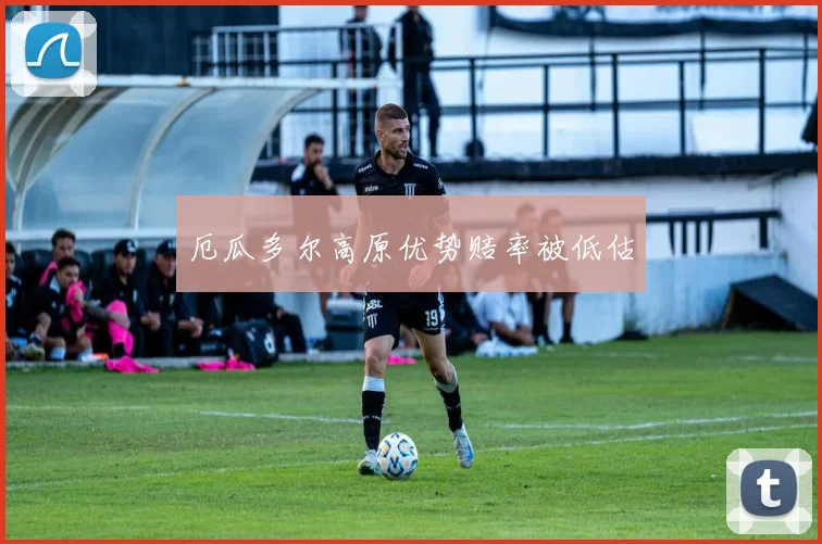 厄瓜多尔高原优势赔率被低估