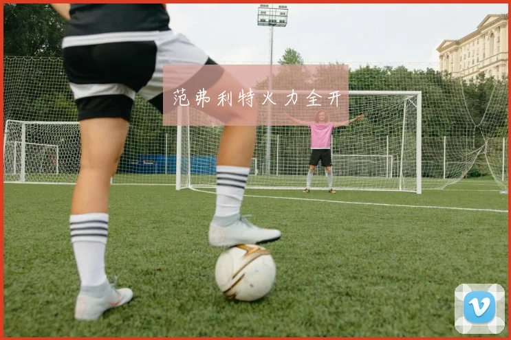 范弗利特火力全开