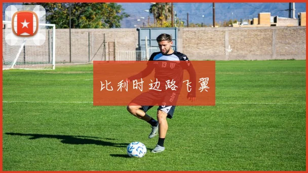 比利时边路飞翼