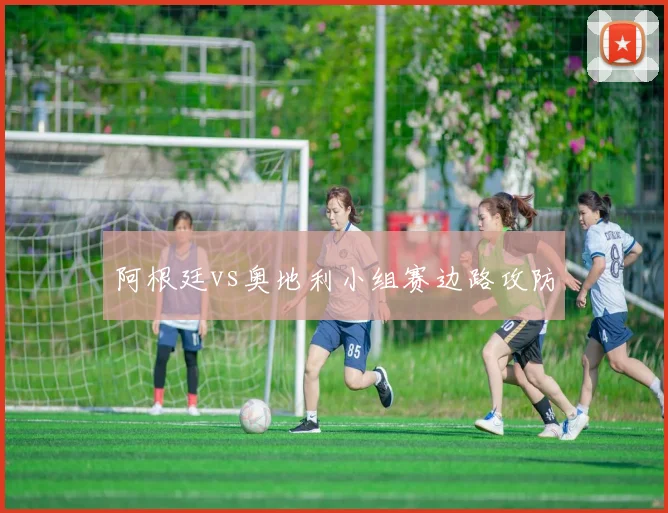 阿根廷vs奥地利小组赛边路攻防