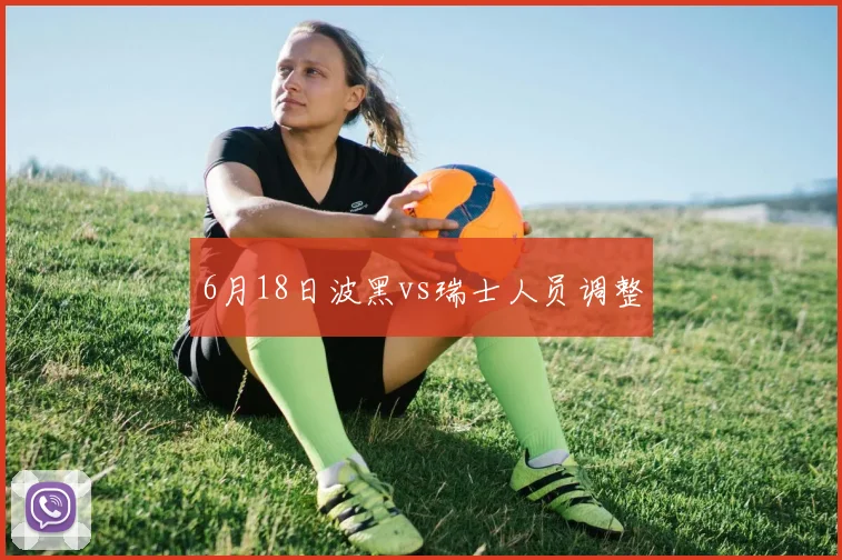 6月18日波黑vs瑞士人员调整