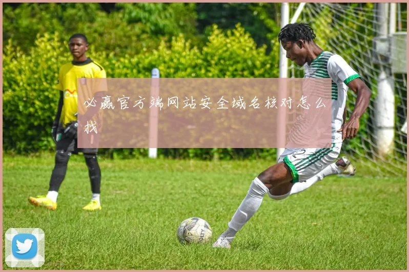 必赢官方端网站安全域名核对怎么找