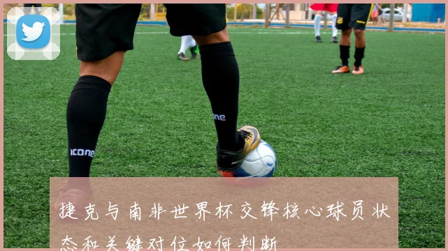 捷克与南非世界杯交锋核心球员状态和关键对位如何判断