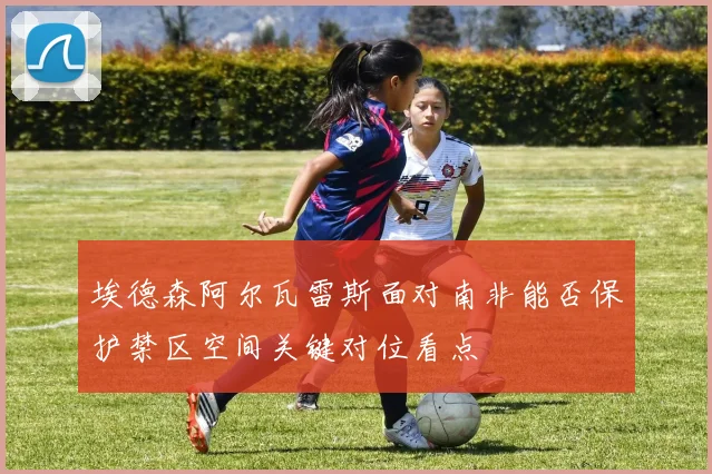 埃德森阿尔瓦雷斯面对南非能否保护禁区空间关键对位看点